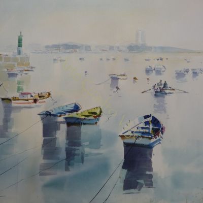 Barcas y Toralla Barcas y Toralla