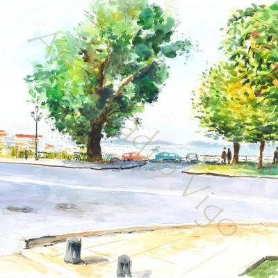 El "Olivo" de Vigo con las Cies al fondo. El "Olivo" de Vigo con las Cies al fondo.