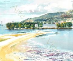 Isla de San Simón (54x36) Isla de San Simón (54x36)